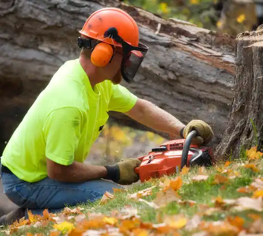 tree services Metamora